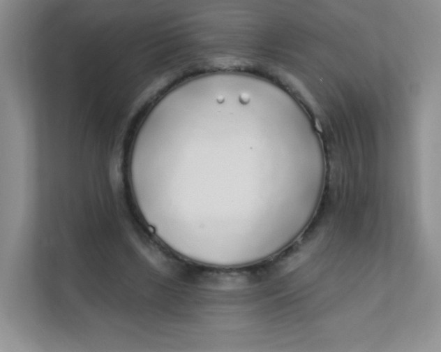 X0000111380443200907311056