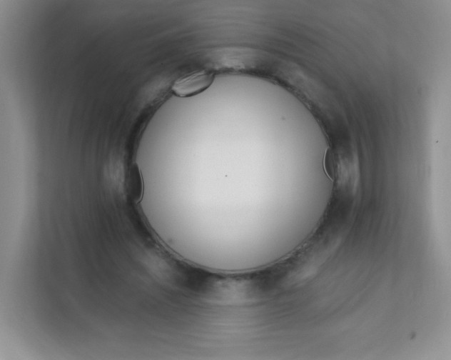 X0000111380444200907311056