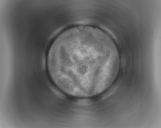 X0000111380446200907311057