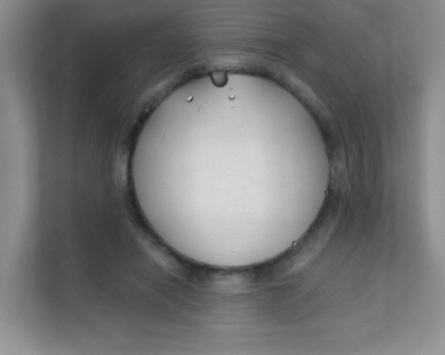 X0000111380454200907311057