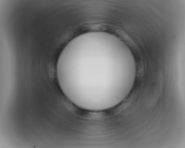 X0000111380469200907311057