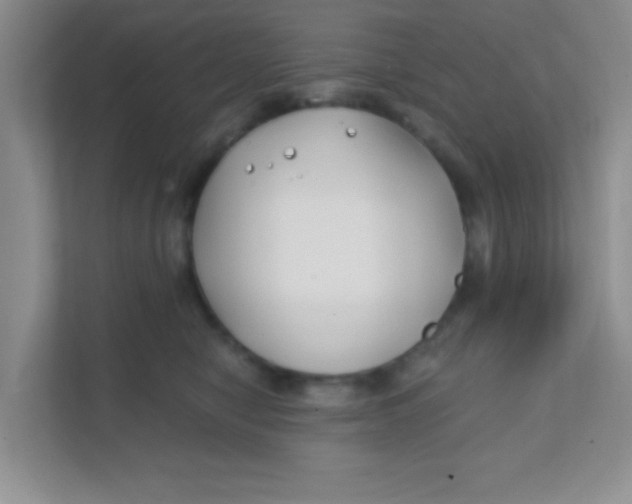 X0000111380470200907311057