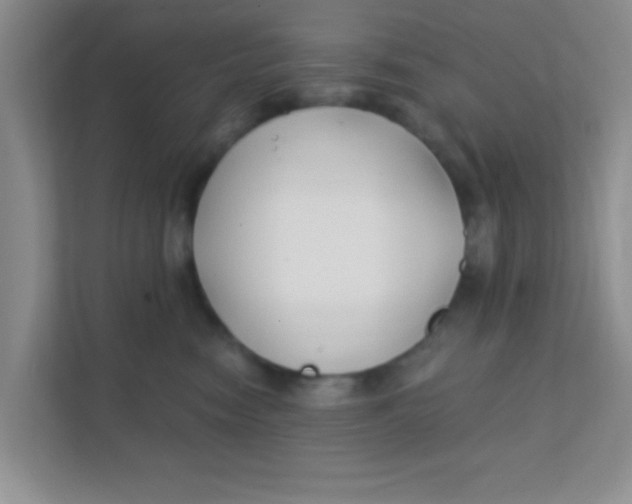 X0000111380474200907311057