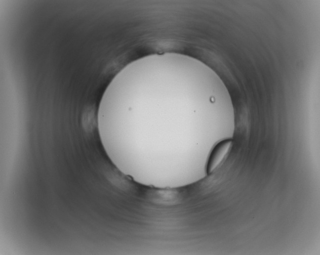 X0000111380478200907311057