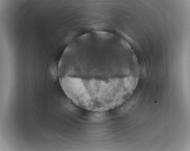 X0000111380479200907311057