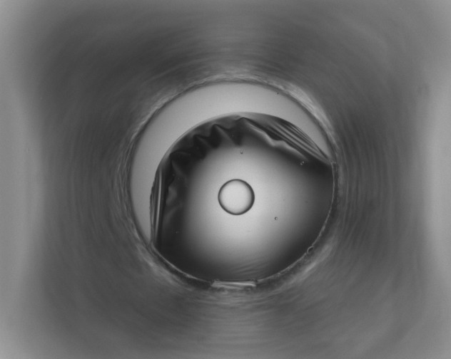 X0000111380481200907311056