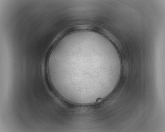 X0000111380482200907311056