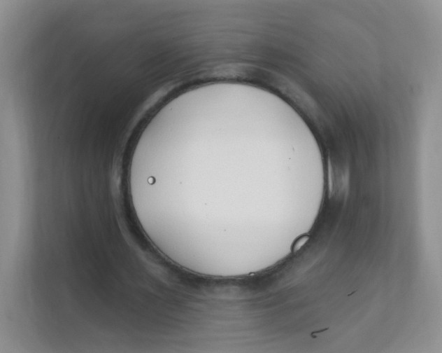 X0000111380483200907311056