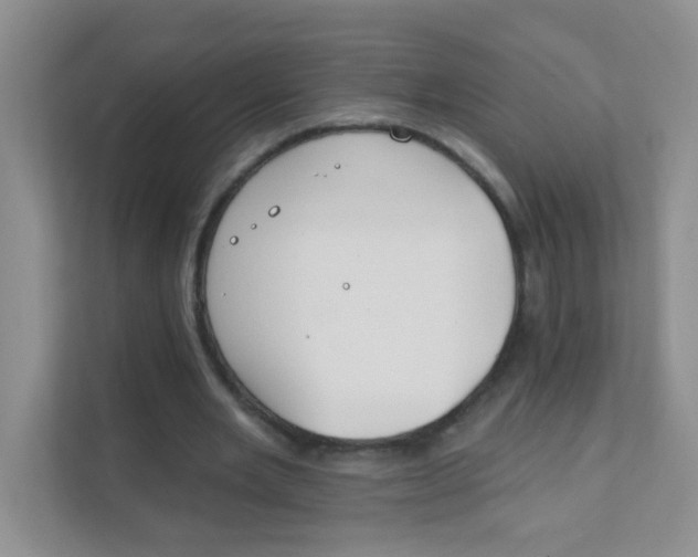 X0000111380485200907311056