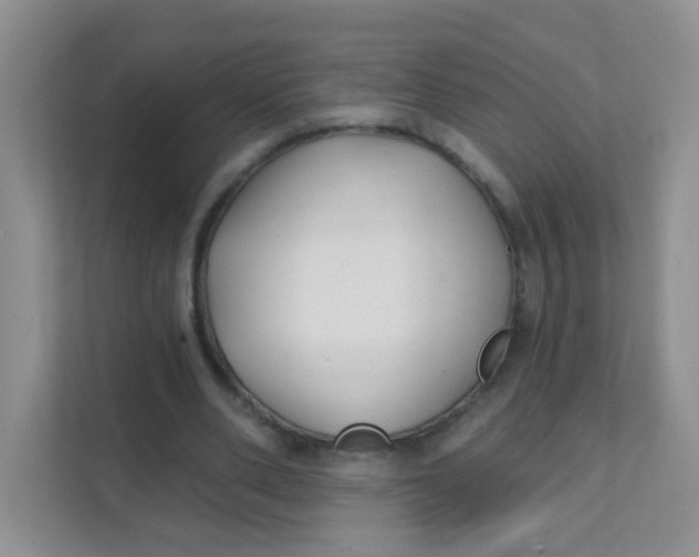 X0000111380486200907311056