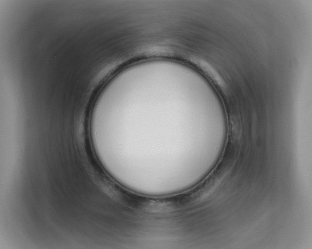 X0000111380487200907311056