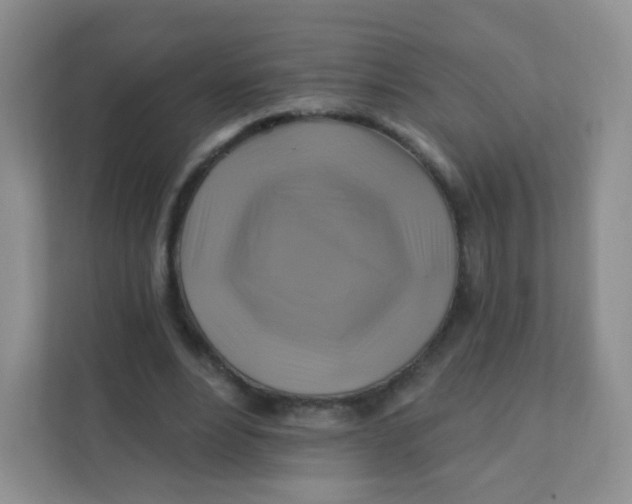 X0000111380488200907311056