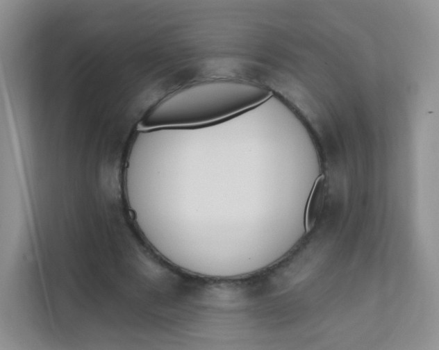 X0000111380489200907311056