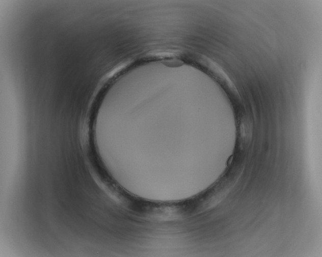 X0000111380492200907311056