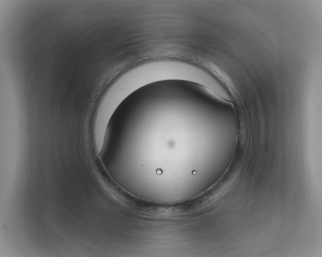 X0000111380493200907311056