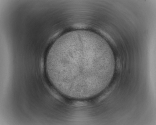 X0000111380494200907311056