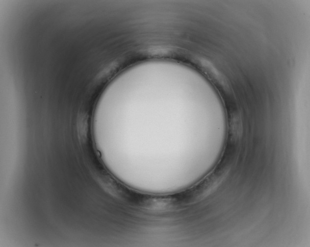 X0000111380495200907311056