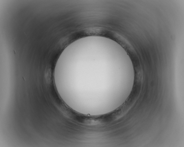 X0000111380498200907311056