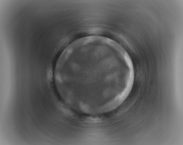 X0000111380502200907311056