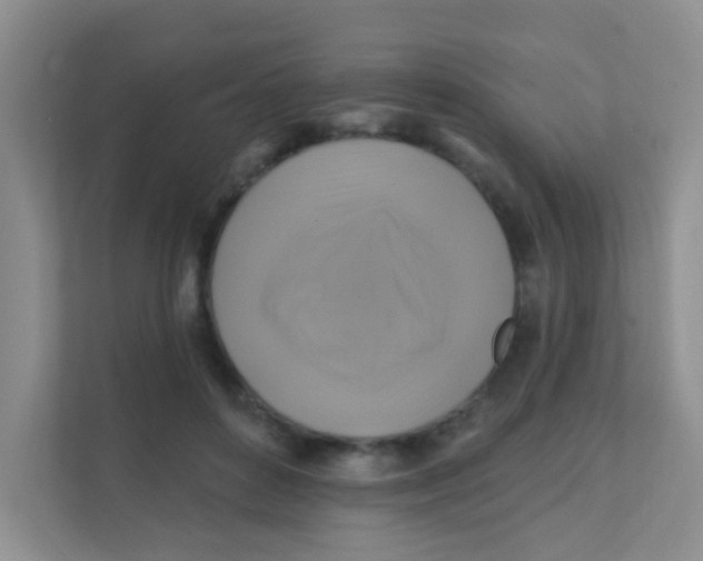 X0000111380504200907311056