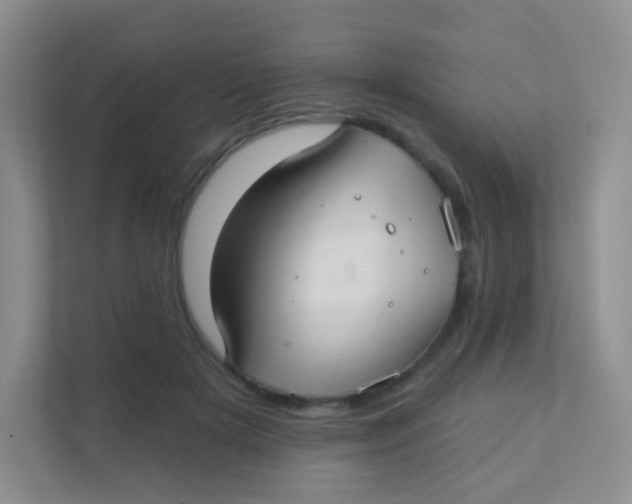 X0000111380505200907311056