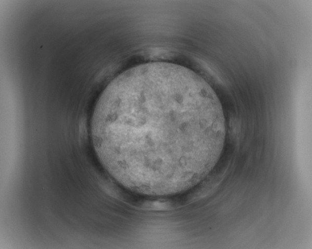 X0000111380506200907311056