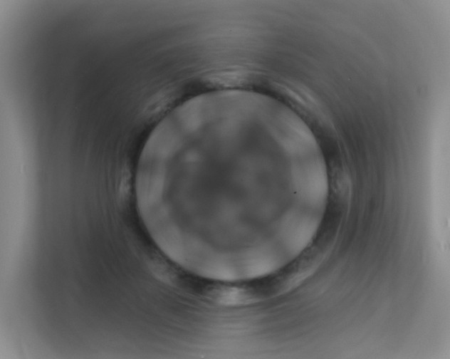 X0000111380507200907311056