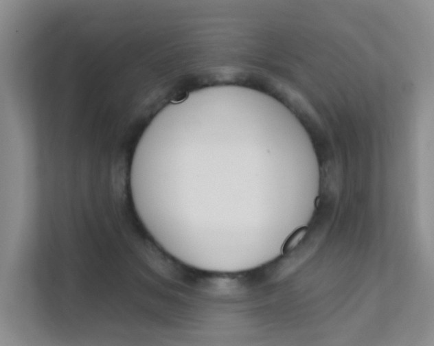 X0000111380509200907311056