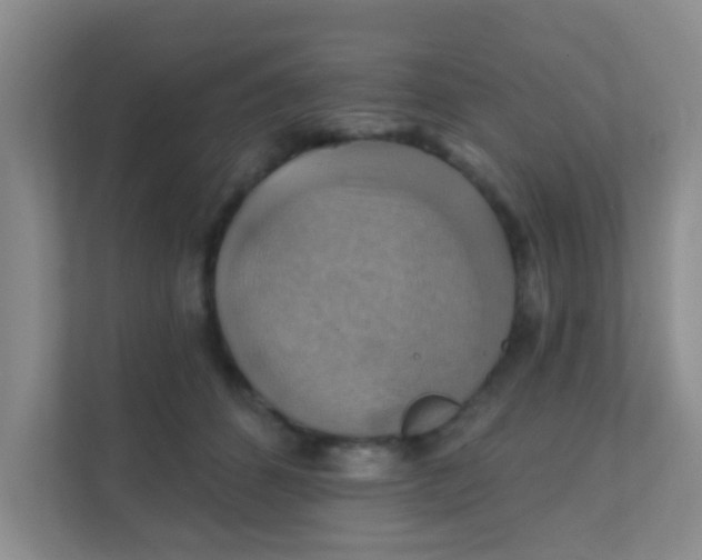 X0000111380512200907311056