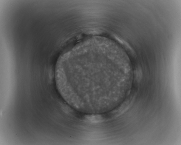 X0000111380517200907311056