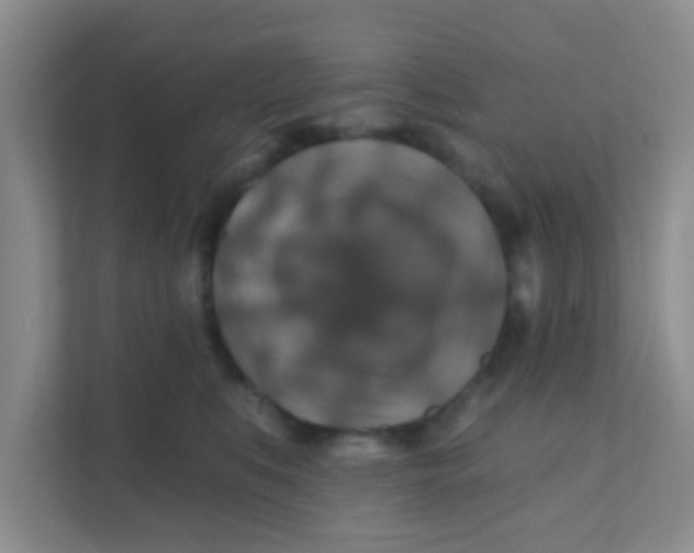 X0000111380519200907311056