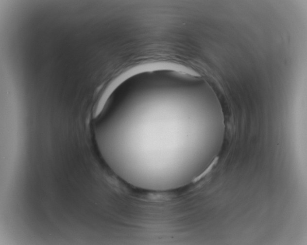 X0000111380520200907311056