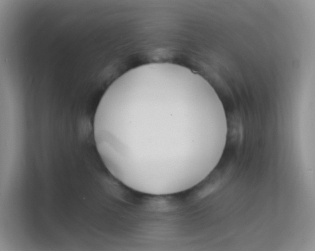 X0000111380523200907311056