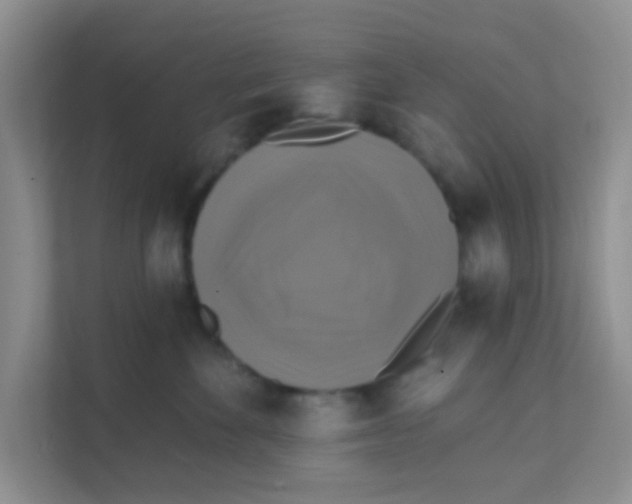 X0000111380524200907311056