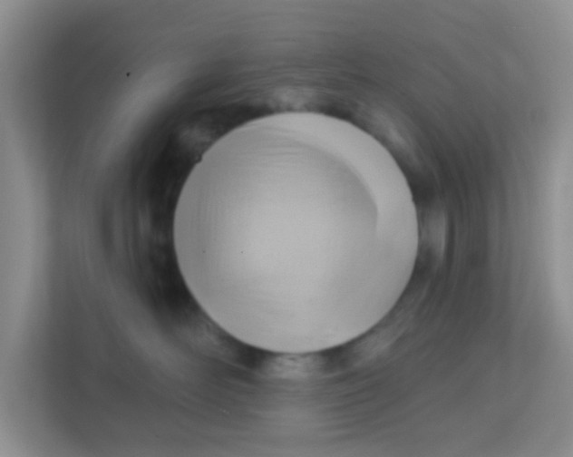 X0000111380526200907311056