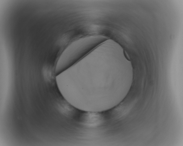 X0000111380528200907311056