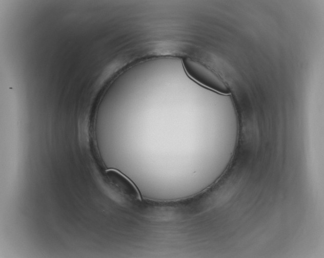 X0000111380530200907311055