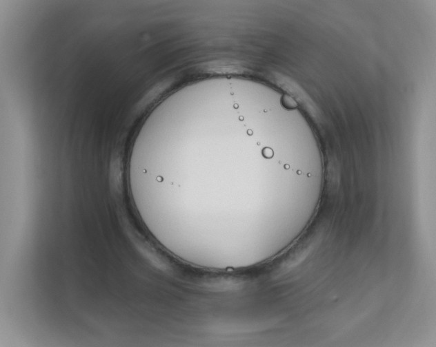 X0000111380533200907311055