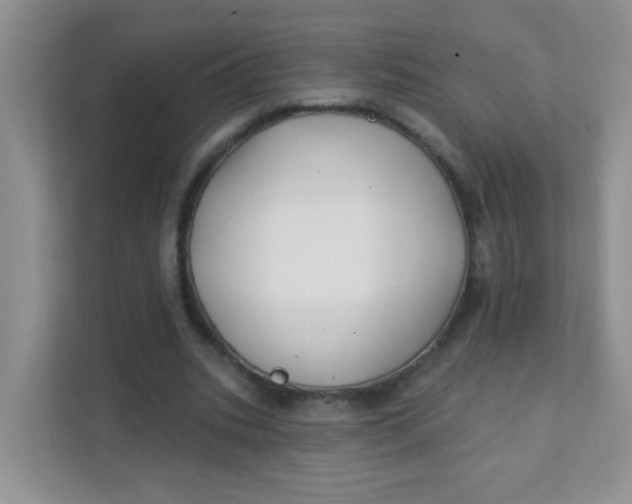 X0000111380535200907311055