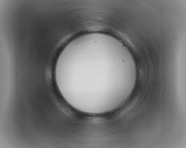 X0000111380539200907311055