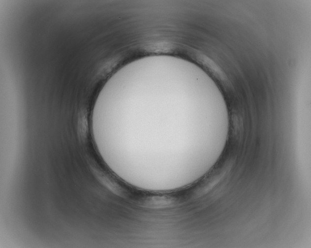 X0000111380541200907311055