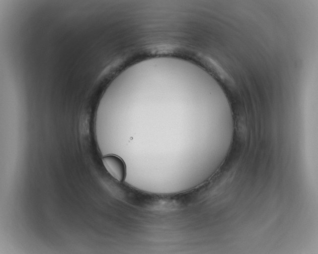 X0000111380543200907311055