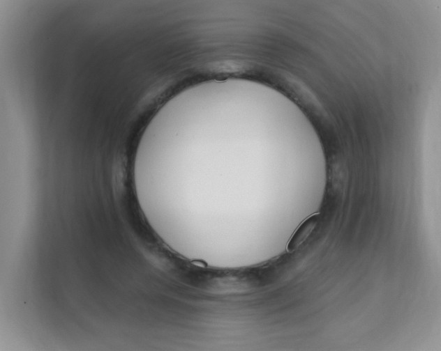 X0000111380544200907311055