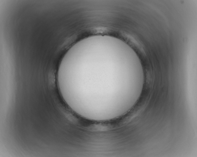 X0000111380545200907311055