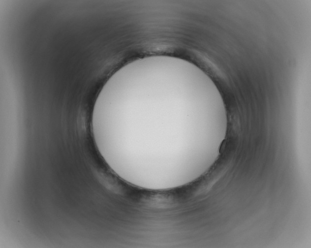 X0000111380546200907311055