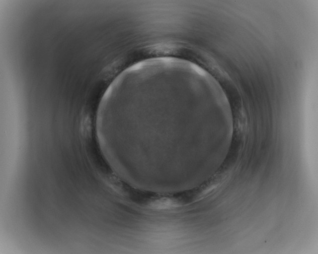 X0000111380551200907311055