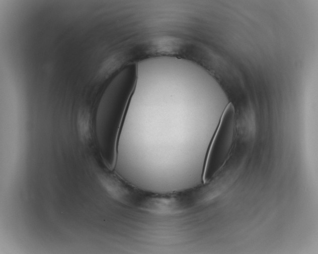 X0000111380552200907311055