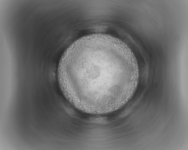 X0000111380553200907311055