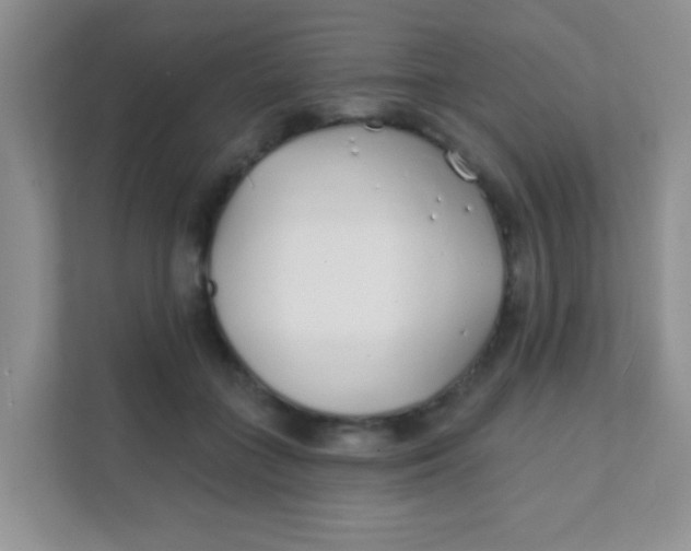 X0000111380555200907311055