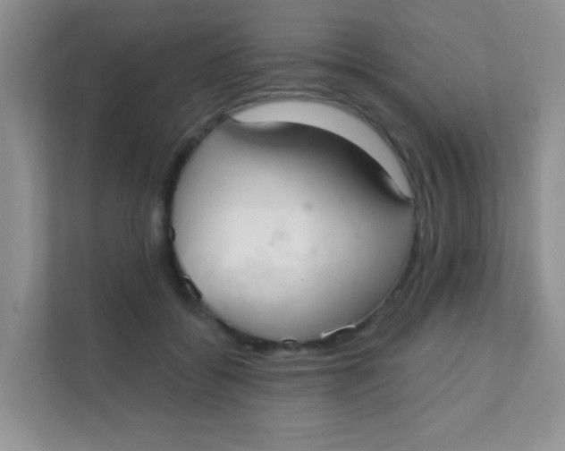 X0000111380556200907311055